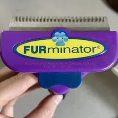 Item thumbnail for item 4fbfd080-2b0e-4b14-981a-d5090da65d03
