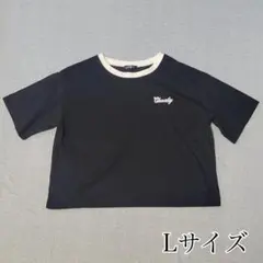 Tシャツ Lサイズ ブラック