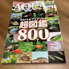 AQUA 2023年 アクアリウム超図鑑 800