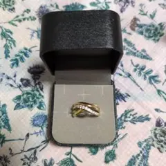 Item thumbnail for item 4caa7d42-2341-44e5-a06c-e35de71465a9