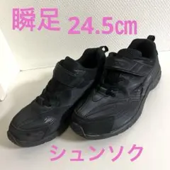 ホームクリーニング済み 瞬足 スニーカー 24.5cm