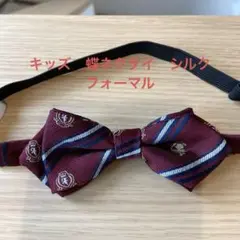 Item thumbnail for item 69eb087a-3b28-47bb-9ed2-5c75cb13cd6c