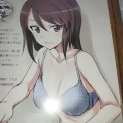 ガールズ＆パンツァー 　ミカ　額装　B5サイズ