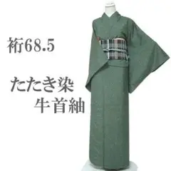 牛首紬 着物 袷 たたき染 緑 カジュアル 裄68.5 Ｌ 中古 sn1524