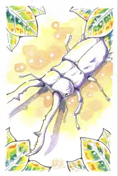 手描きイラスト　クワガタムシの絵　ギラファノコギリクワガタ　L版サイズ