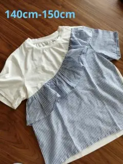 SHEIN　ストライプ　フリル　Tシャツ　140cm　150cm　シーイン