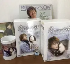 冬のソナタ DVD-BOXⅠ・II〈初回限定生産・3枚組〉