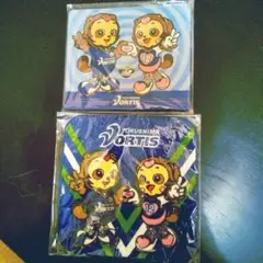 徳島ヴォルティス 記念グッズ 2種類セット(タオルハンカチ&マウスパッド)