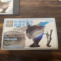 2025年最新】科博所蔵品 再現モデルの人気アイテム - メルカリ