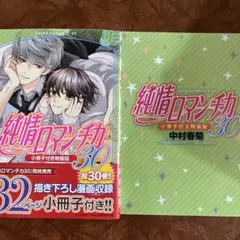 ①純情ロマンチカ(30) 小冊子付き特装版　中村春菊
