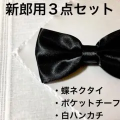 新郎　小物　蝶ネクタイ　セット　結婚式　ポケットチーフ　ハンカチ　メンズ
