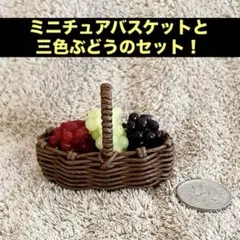 ミニチュア バスケットと三色ぶどうのセット！①