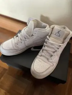 NIKE エアジョーダン　24.5