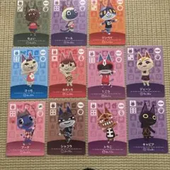 ブーケ　1ごう　みかっち　ショコラ　マール　さっち　キャビア　ジェーン
