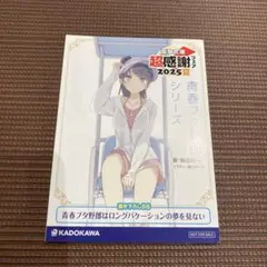 青春ブタ野郎はロングバケーションの夢を見ない