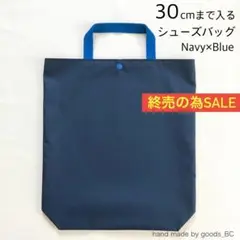 Item thumbnail for item 7b49ff8e-d0bc-4983-a041-df95b9253d73