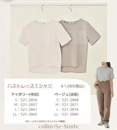collin バストレースTシャツ　アイボリー　L