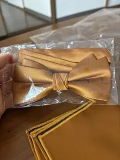 Item thumbnail for item ab2d0ae6-d2b8-4091-a322-45623dab4a5d