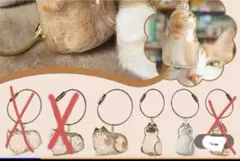 Item thumbnail for item b0d36594-2caa-4cbf-a739-babfecfc346f
