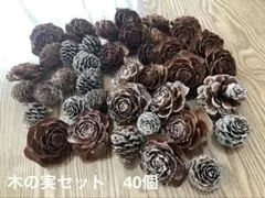 シダーローズ　松ぼっくり他　約40個
