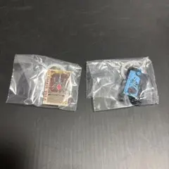 仮面ライダー めじるしアクセサリー2