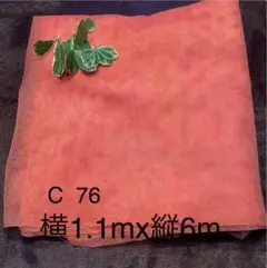 C 76 チュールレース