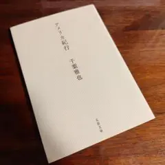 【未使用に近い】アメリカ紀行