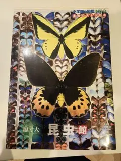 Item thumbnail for item c3229e9c-7e10-4a6b-a8d6-08b3e0aff94b