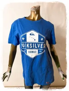 ☘️T16881☘️QUIKSILVER 半袖 ロゴ Tシャツ S