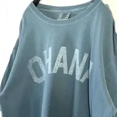 コンフォートカラーズ OHANA Tシャツ L くすみブルー 青 古着