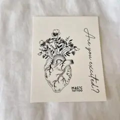 Item thumbnail for item ea25ada5-6bcb-49cb-a2a5-653edc1276b3