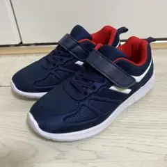 Item thumbnail for item 6fa9a675-9c3c-4dc2-80b2-eaa89735484e