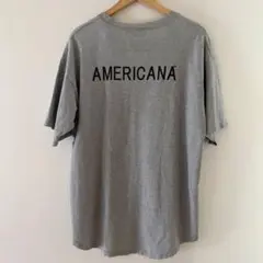 購入前にコメントか価格交渉をお願いします！アメリカーナ◇Tシャツ