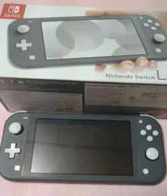 Nintendo Switch Lite グレー