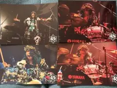 新品　ACME HAL 生写真　ウェブポン