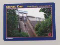 Item thumbnail for item 5bc7c0d7-8cf8-4e94-9041-3f8fe0cf96ac