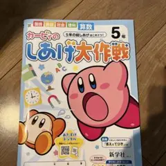 カービィのしりき大作戦 5年