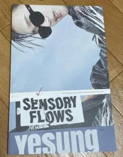 Super Junior イェソン トレカ コンプ Sensory Flows 2025年最新】イェソン トレカ sensory flowsの人気アイテム