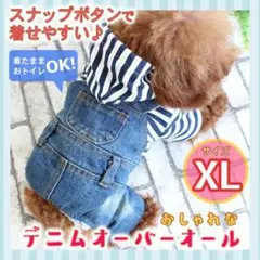 新品 小型犬 ペット服 服 デニム ボーダー オーバーオール ワンコ XL