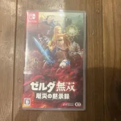 ゼルダ無双: 厄災の黙示録 Nintendo Switch