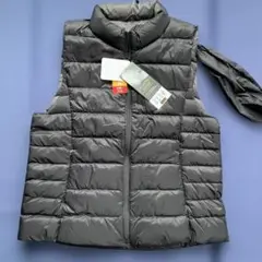 Item thumbnail for item 9ed4a4b1-bf60-4382-9cf8-fb405048af1c