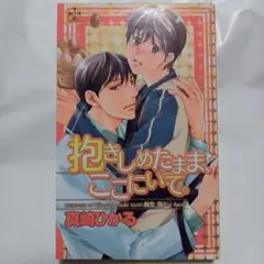 抱きしめたまま、ここにいて。 BL小説