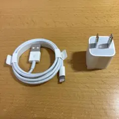 Lightningケーブル・USB充電器セット