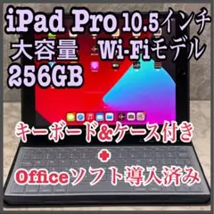 【超美品】iPad Pro 10.5インチ256GB セルラーモデル