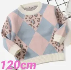 Item thumbnail for item 965c71e4-c4b0-498a-8a0d-3201f985319d