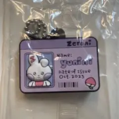 Item thumbnail for item 6135252b-0f1c-49f4-aad8-66f995eeb1e4