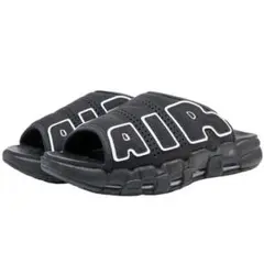 Item thumbnail for item 1ea2e494-37d9-4322-8827-e743f33c56e9