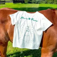 那須ファームヴィレッジ　紗栄子　さん　tシャツ