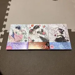 見習い夫婦　 1〜3巻完結セット