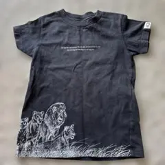 ユニクロ　UT ライオン　110